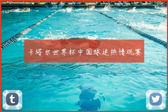 卡塔尔世界杯中国球迷热情观赛