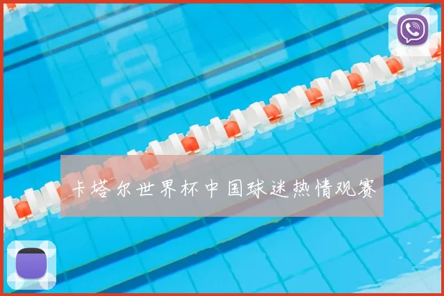 卡塔尔世界杯中国球迷热情观赛